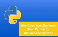 Why Does Your Business Need Python for Business Analytics?