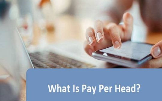 What Is Pay Per Head? The Complete Guide